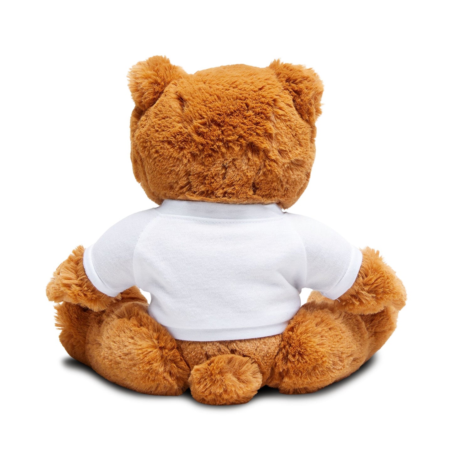 Cuddly Teddy Bear with Custom T-Shirt, Personalized Gift, Plush Toy, Baby Shower, Valentine's Day, Kids' Birthday, Cozy Companion